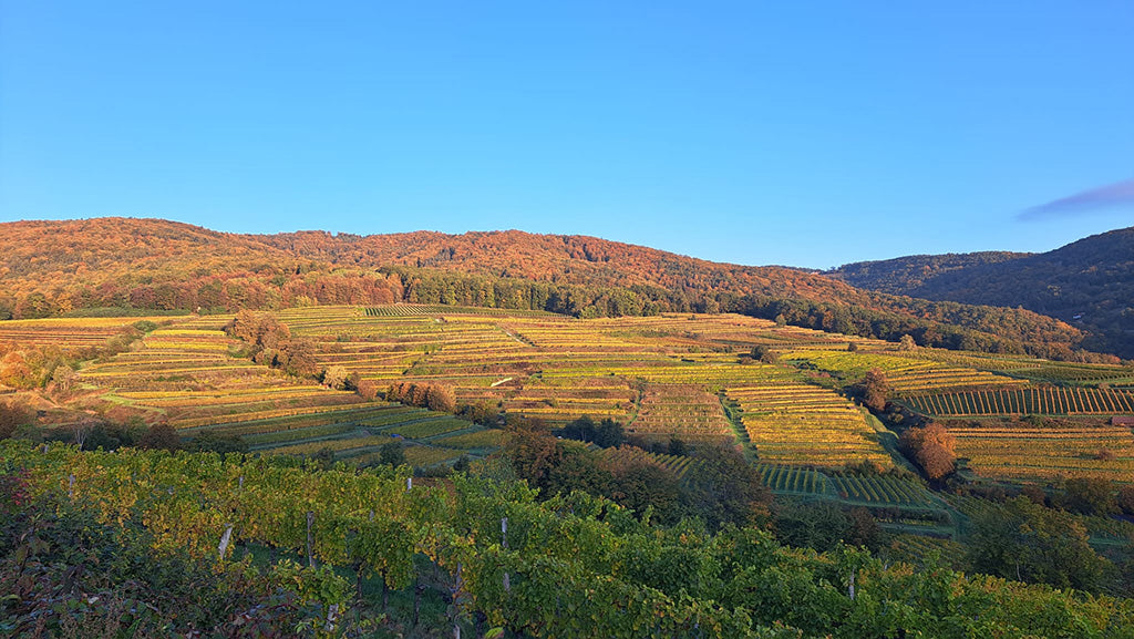 Slideshow Image 3